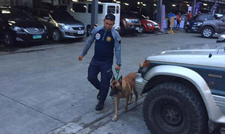 K9 Cebu city, PASSWORD K9