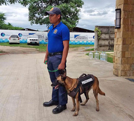 K9 Cebu city, PASSWORD K9