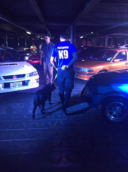 K9 Cebu city, PASSWORD K9