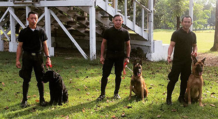 K9 Cebu city, PASSWORD K9