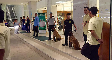 K9 Cebu city, PASSWORD K9